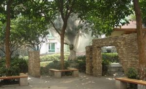 紫竹苑3室2厅南