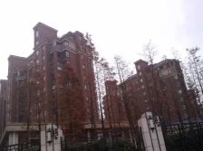 金桥·碧云新天地三期·2室·2厅