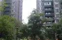 神仙树大院二期实景图