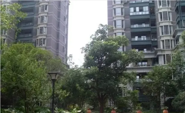 神仙树大院二期实景图