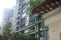 神仙树大院二期实景图