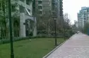 神仙树大院二期实景图