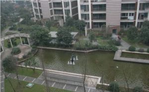 凯莱丽景雅筑3室2厅南