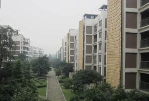 凯莱丽景雅筑 3室2厅 南 北