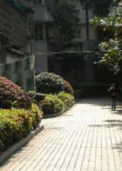 广济北苑3室1厅南