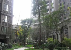 西府少城1室1厅东南