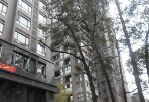 西府少城1室1厅东南东北