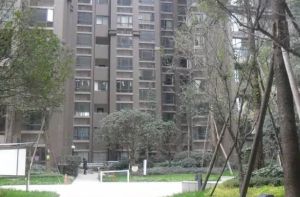 西府少城 3室2厅 东南