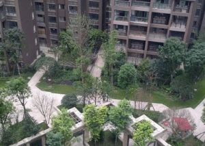 西府少城1室1厅东南
