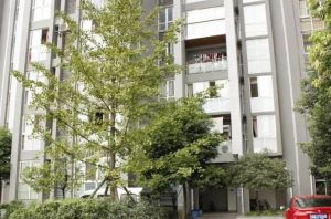香江岸2室2厅西