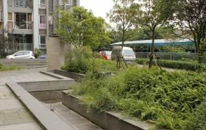 香江岸3室1厅东南