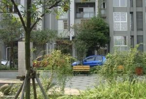 香江岸3室1厅北