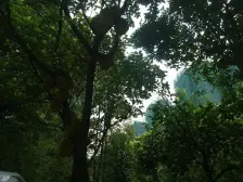 祥利花园 4室2厅 南 北