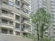 全明采光佳,高层视野阔,无遮挡,精装保养好,满五