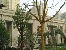 精装修 好楼层 大一居 视野好 采光好