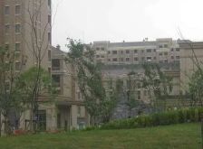 张江汤臣豪园(三期)1室2厅南