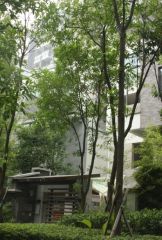 蜀郡5室2厅南东