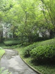 蜀郡 3室1厅 南 北