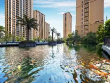 高区视野好看城市边际线南北通飞机户型税少