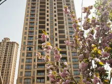 随时看房,电梯房 无抵押,新上房源