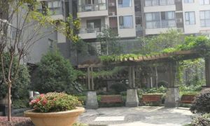 优地A区1室1厅东南