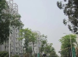 东山国际新城A区2室1厅东南