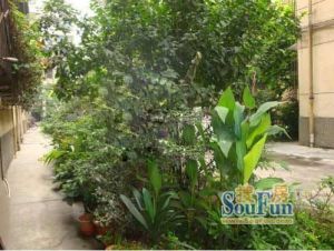 紫荆蜜城 1室1厅 东南