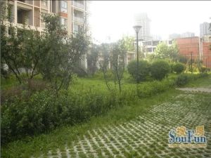 南延新苑4室1厅南