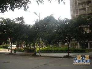 南延新苑4室2厅南北
