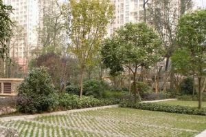 富丽东方3室1厅东南