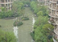 天鹅湖花园4室2厅东