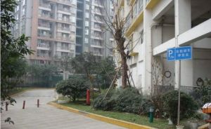 金沙岁月 2室1厅 南