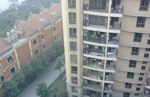 上海花园(高新)3室1厅南