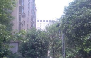 上海花园(高新)3室2厅南北