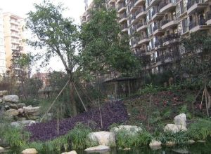 上海花园(高新) 4室2厅 南 北