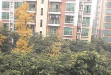 银都花园慧苑二期3室2厅东西
