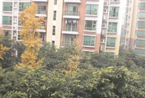 银都花园欣苑五期3室1厅南北