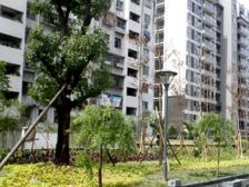 筑家尚水东郡 2室1厅 南