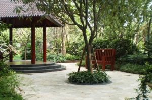 置信丽都花园城B区3室2厅南