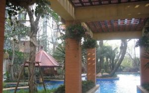 置信丽都花园城C区 3室2厅 东南