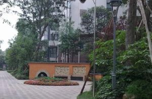 置信丽都花园城C区3室2厅东南