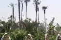 置信丽都花园城(外侧)实景图