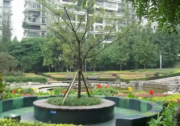 置信丽都花园城(外侧)实景图