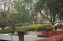万科金色海蓉一期实景图