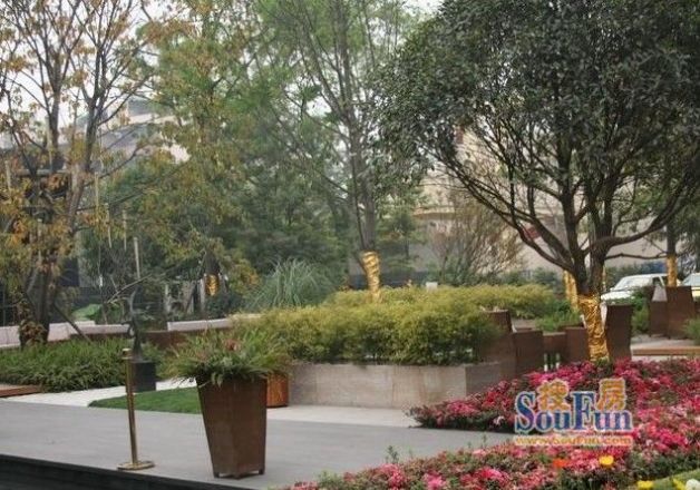 万科金色海蓉一期实景图