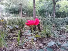 西站美林郡正规四室大横厅产权可按揭