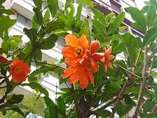 户型方正 业主诚心出售 可以贷款 火星街明珠家园