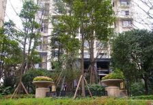 天合凯旋天际湾2室2厅北