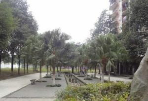 会所花园2室1厅东南