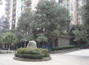 会所花园 3室2厅 南